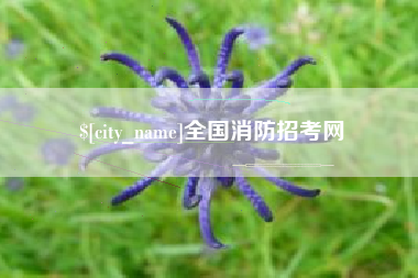 五家渠全国消防招考网