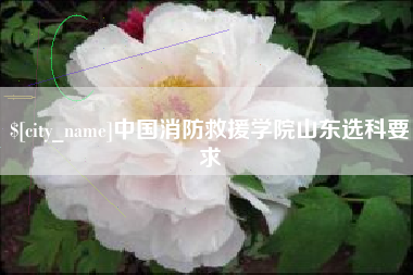 五家渠中国消防救援学院山东选科要求