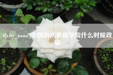五家渠中国消防救援学院什么时候政审