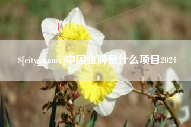 五家渠中国金牌是什么项目2024