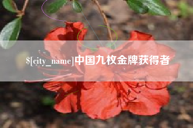 五家渠中国九枚金牌获得者