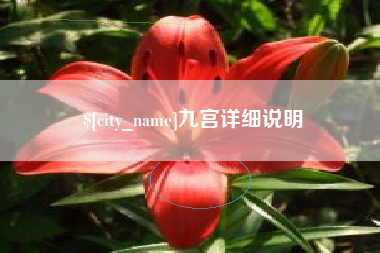 五家渠九宫详细说明