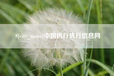五家渠中国执行执行信息网