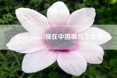 五家渠现在中国哪几个金牌