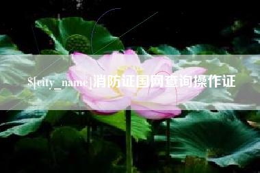 五家渠消防证国网查询操作证