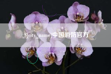 五家渠中国消防官方