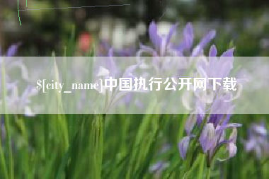五家渠中国执行公开网下载