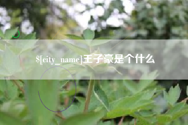 五家渠王子豪是个什么