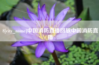 五家渠中国消防直播回放中国消防直播