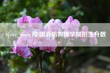 五家渠中国消防救援学院招生分数