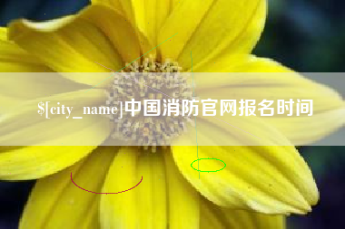 五家渠中国消防官网报名时间