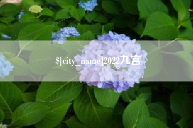 五家渠2022九宫