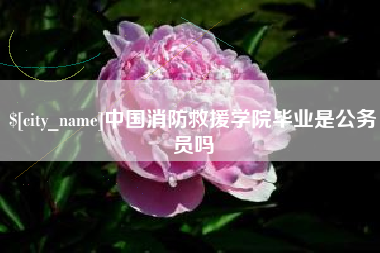 五家渠中国消防救援学院毕业是公务员吗