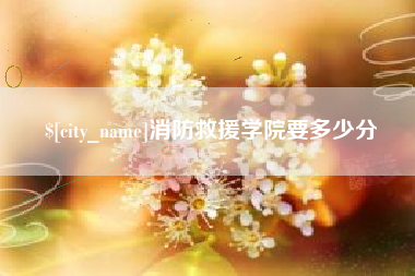 五家渠消防救援学院要多少分
