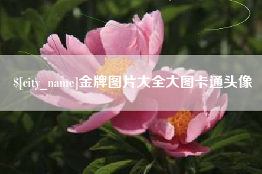 五家渠金牌图片大全大图卡通头像