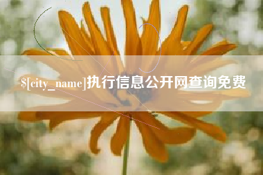 五家渠执行信息公开网查询免费