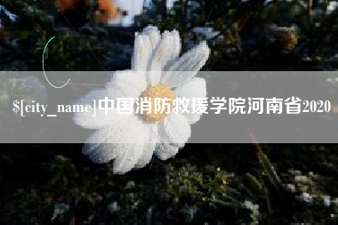 五家渠中国消防救援学院河南省2020